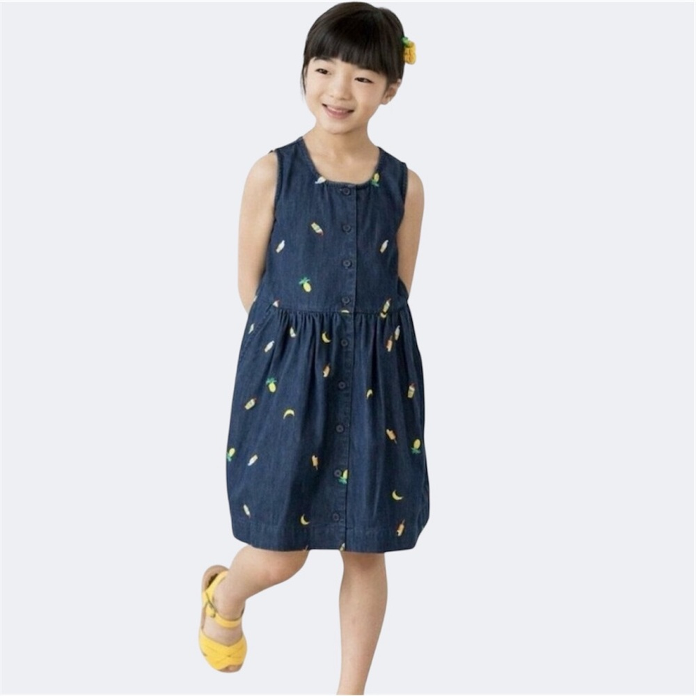 Hanna Andersson Chasing Summer Button Up Chambray Dress
